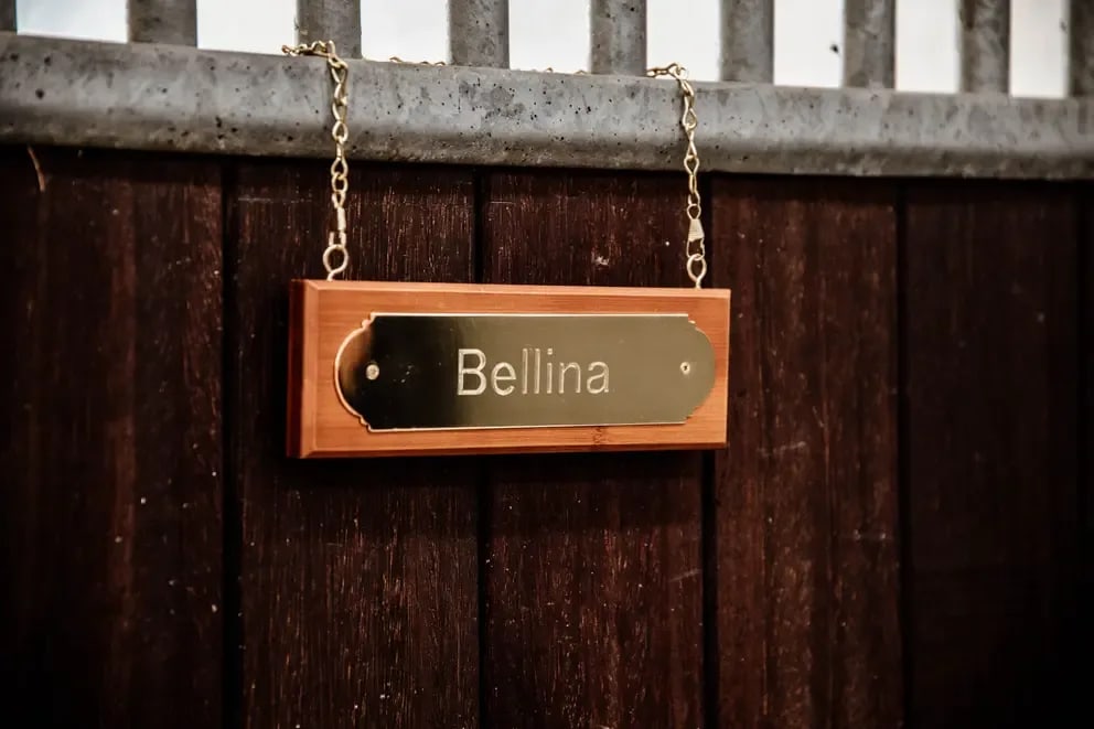 Grooming Deluxe Stable Name Plate Hanger - Løwenborg - Grooming Deluxe