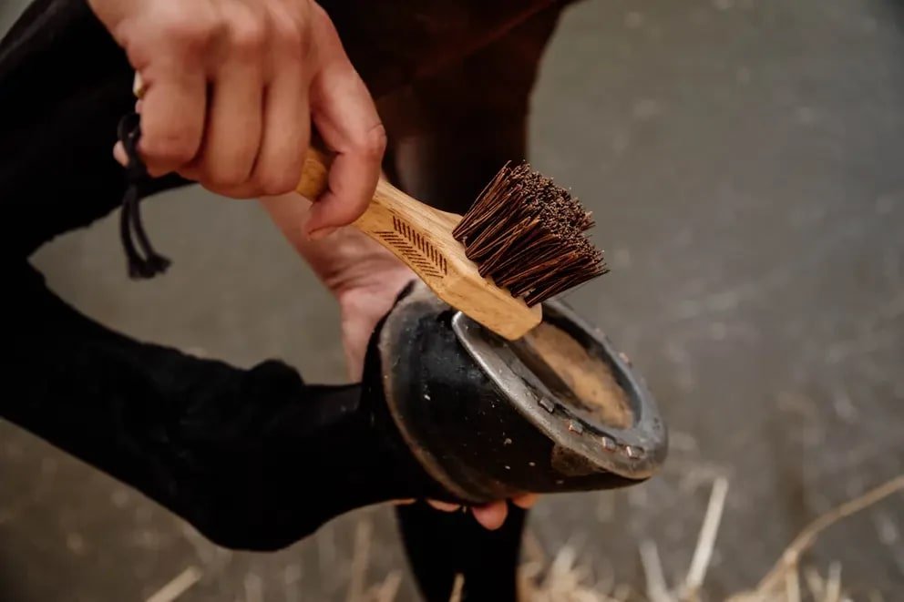Grooming Deluxe Hoof Pick - Løwenborg - Grooming Deluxe