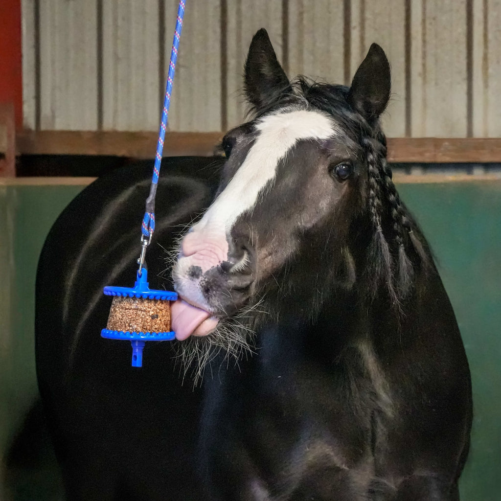 Likit Refill GranoLo - Løwenborg - Likit/Studmuffin