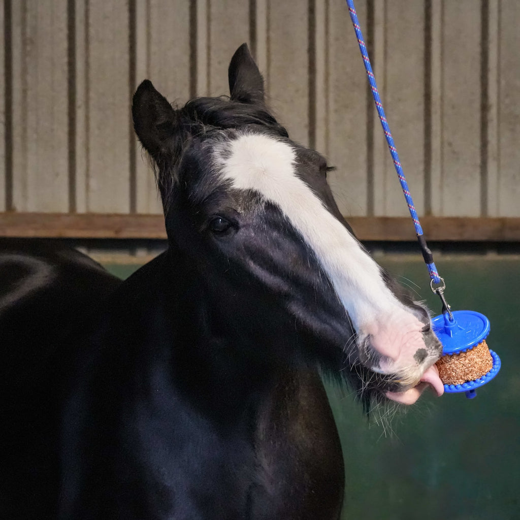 Likit Refill GranoLo - Løwenborg - Likit/Studmuffin