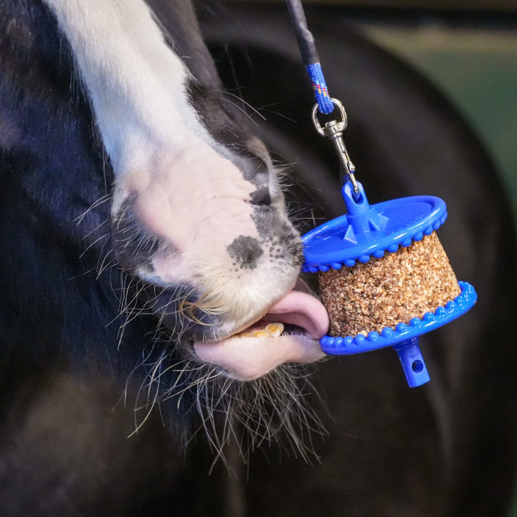 Likit Refill GranoLo - Løwenborg - Likit/Studmuffin