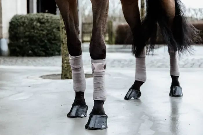 Kentucky Polar Fleece Bandage Velvet - Løwenborg - Kentucky Horsewear