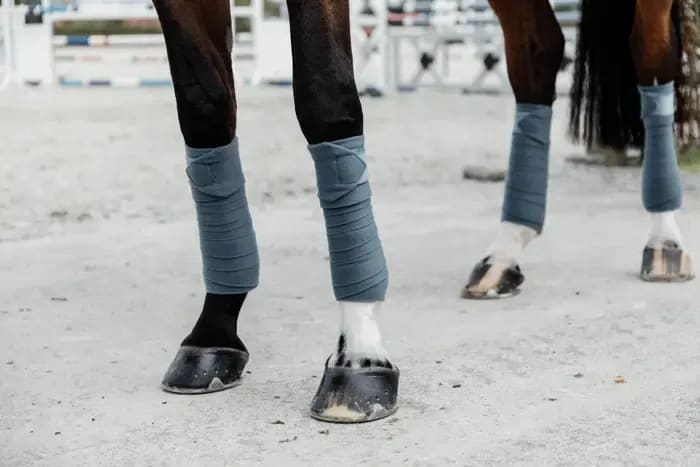 Kentucky Polar Fleece Bandage Velvet - Løwenborg - Kentucky Horsewear