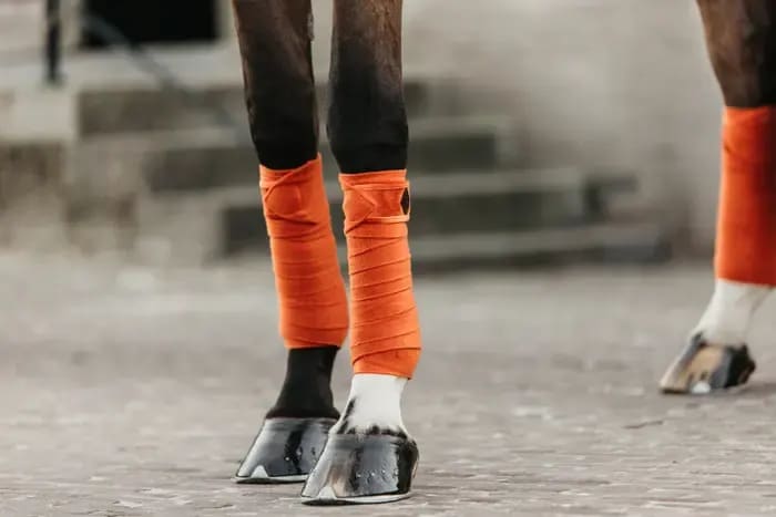 Kentucky Polar Fleece Bandage Velvet - Løwenborg - Kentucky Horsewear