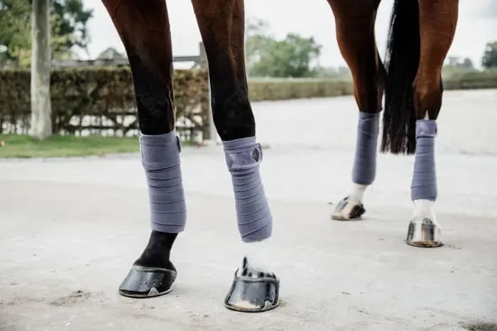 Kentucky Polar Fleece Bandage Velvet - Løwenborg - Kentucky Horsewear