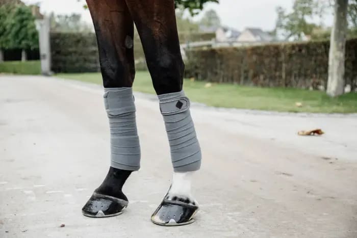 Kentucky Polar Fleece Bandage Pearls - Løwenborg - Kentucky Horsewear