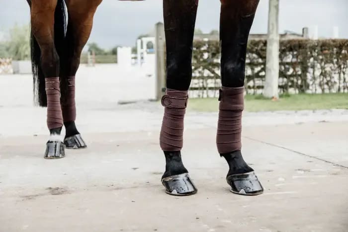 Kentucky Polar Fleece Bandage Pearls - Løwenborg - Kentucky Horsewear