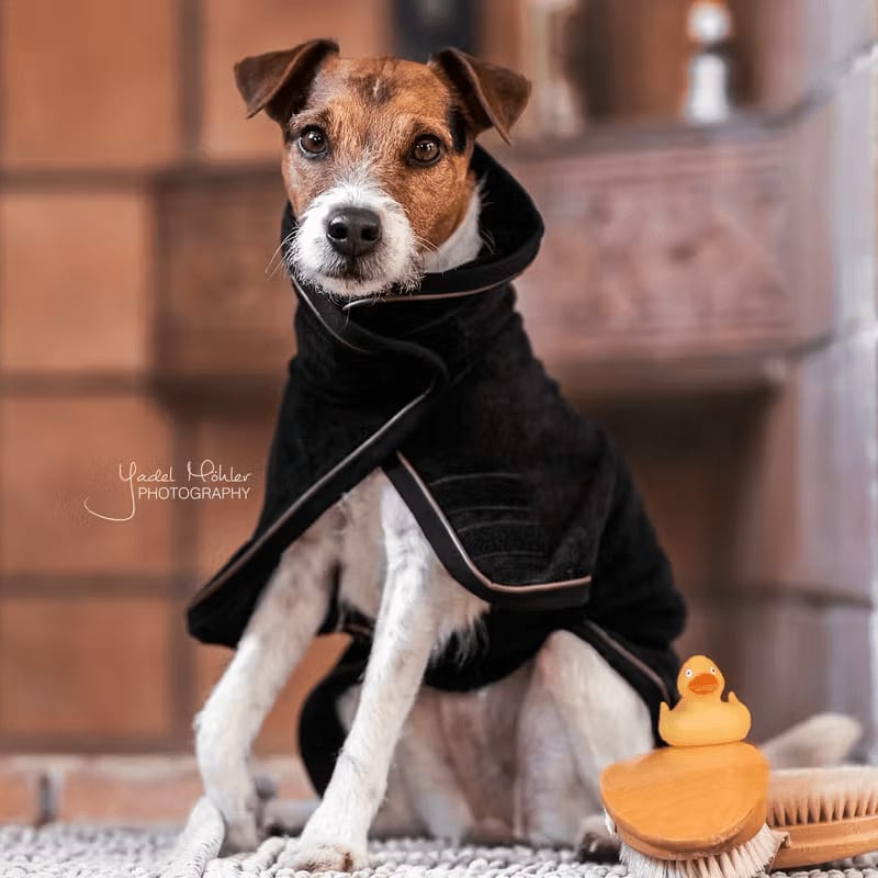Kentucky Dog Coat Towel - Løwenborg - Kentucky Dogwear