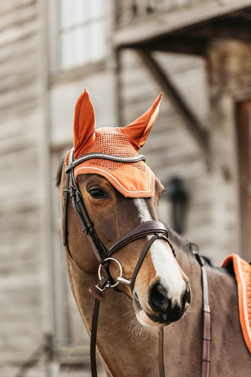 Kentucky Fly veil Wellington Velvet - Løwenborg - Kentucky Horsewear