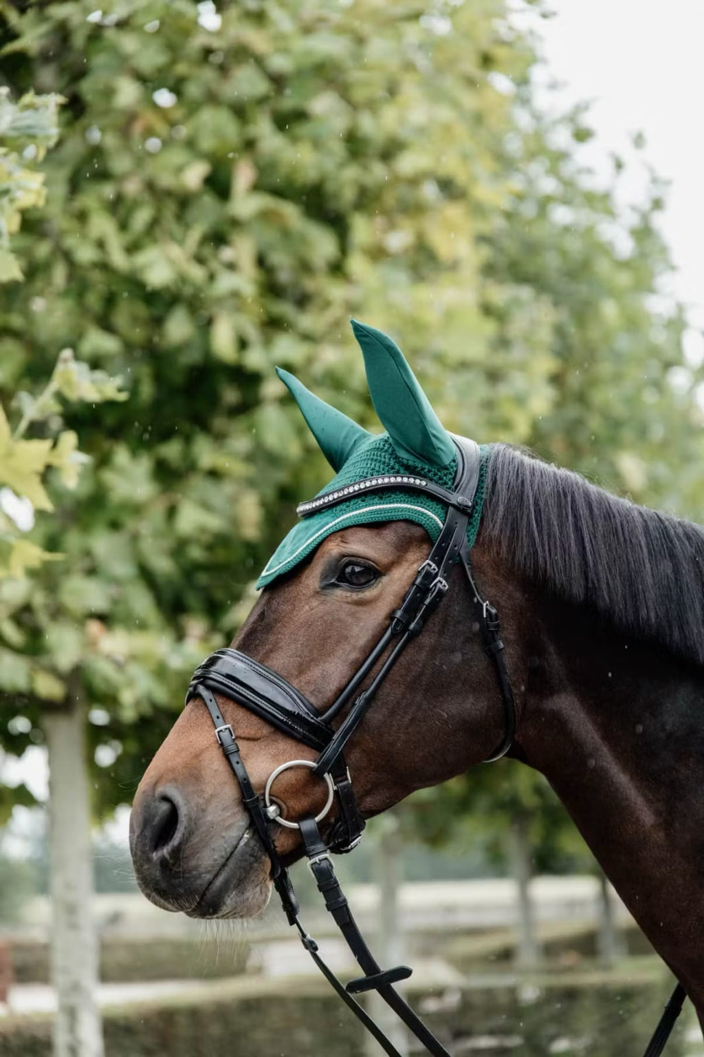 Kentucky Fly veil Wellington Velvet - Løwenborg - Kentucky Horsewear