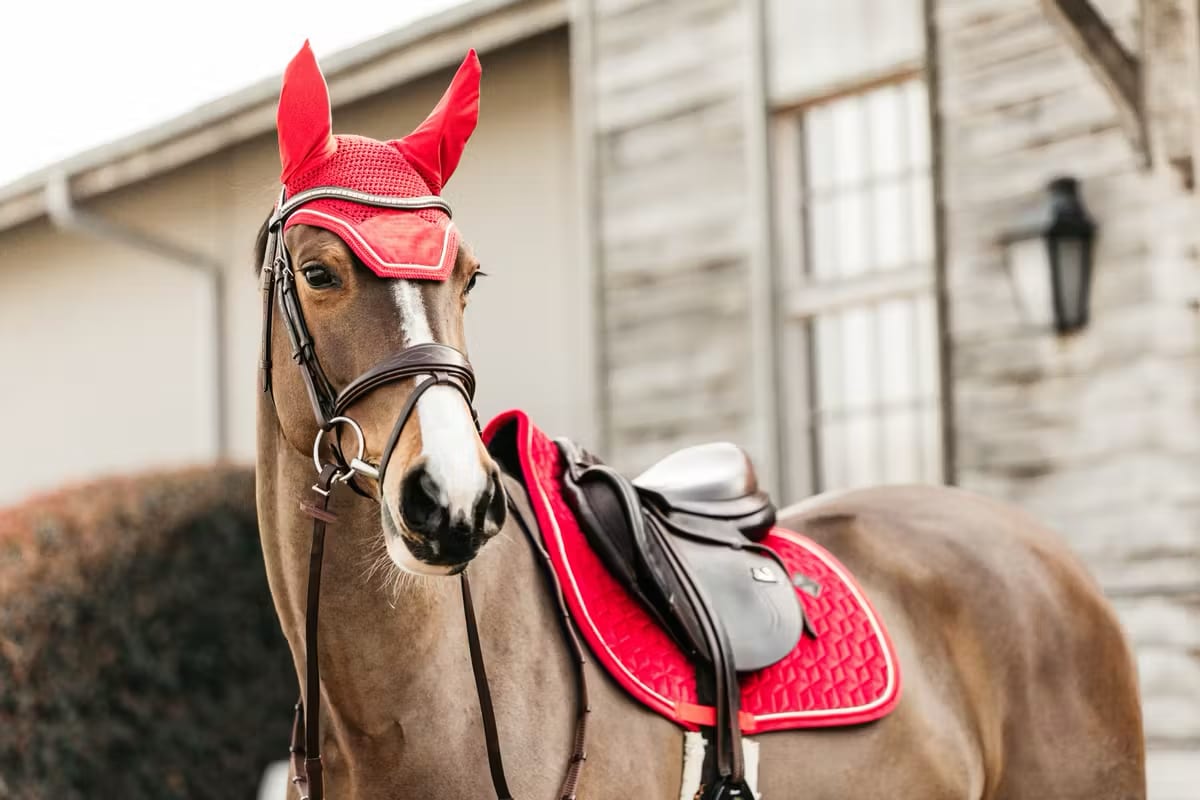 Kentucky Fly veil Wellington Velvet - Løwenborg - Kentucky Horsewear