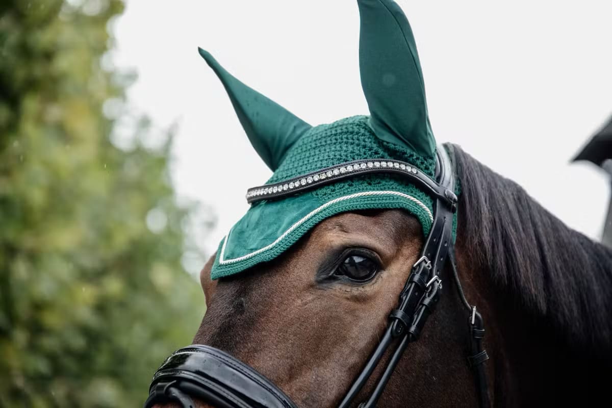 Kentucky Fly veil Wellington Velvet - Løwenborg - Kentucky Horsewear