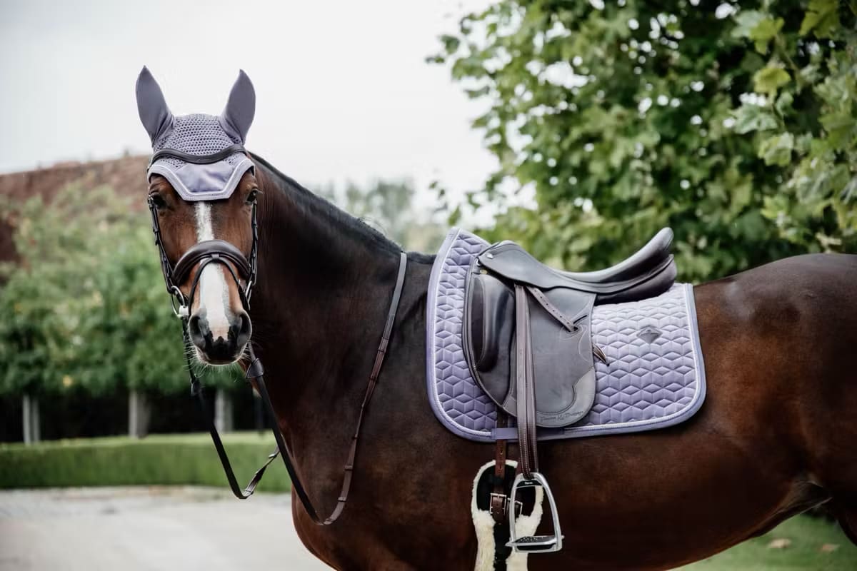 Kentucky Fly veil Wellington Velvet - Løwenborg - Kentucky Horsewear