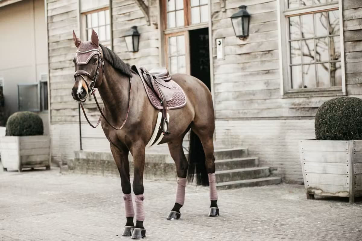 Kentucky Fly veil Wellington Velvet - Løwenborg - Kentucky Horsewear