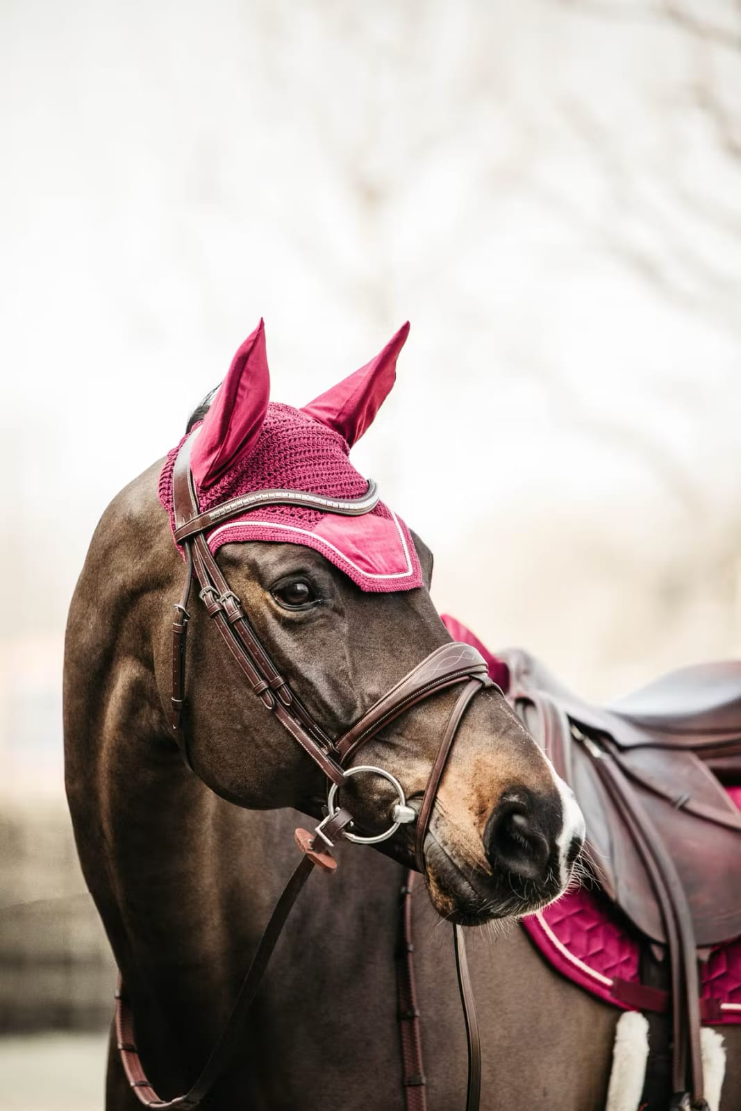 Kentucky Fly veil Wellington Velvet - Løwenborg - Kentucky Horsewear