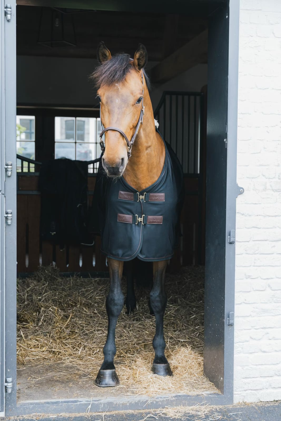 Kentucky Mesh Fly Sheet - Løwenborg - Kentucky Horsewear