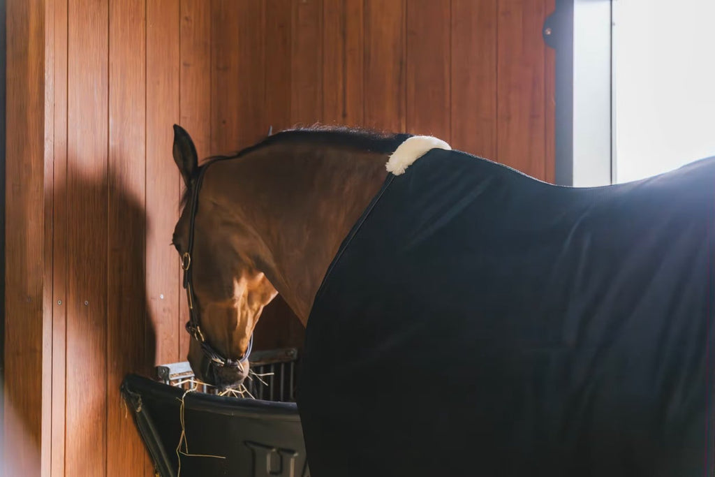 Kentucky Mesh Fly Sheet - Løwenborg - Kentucky Horsewear