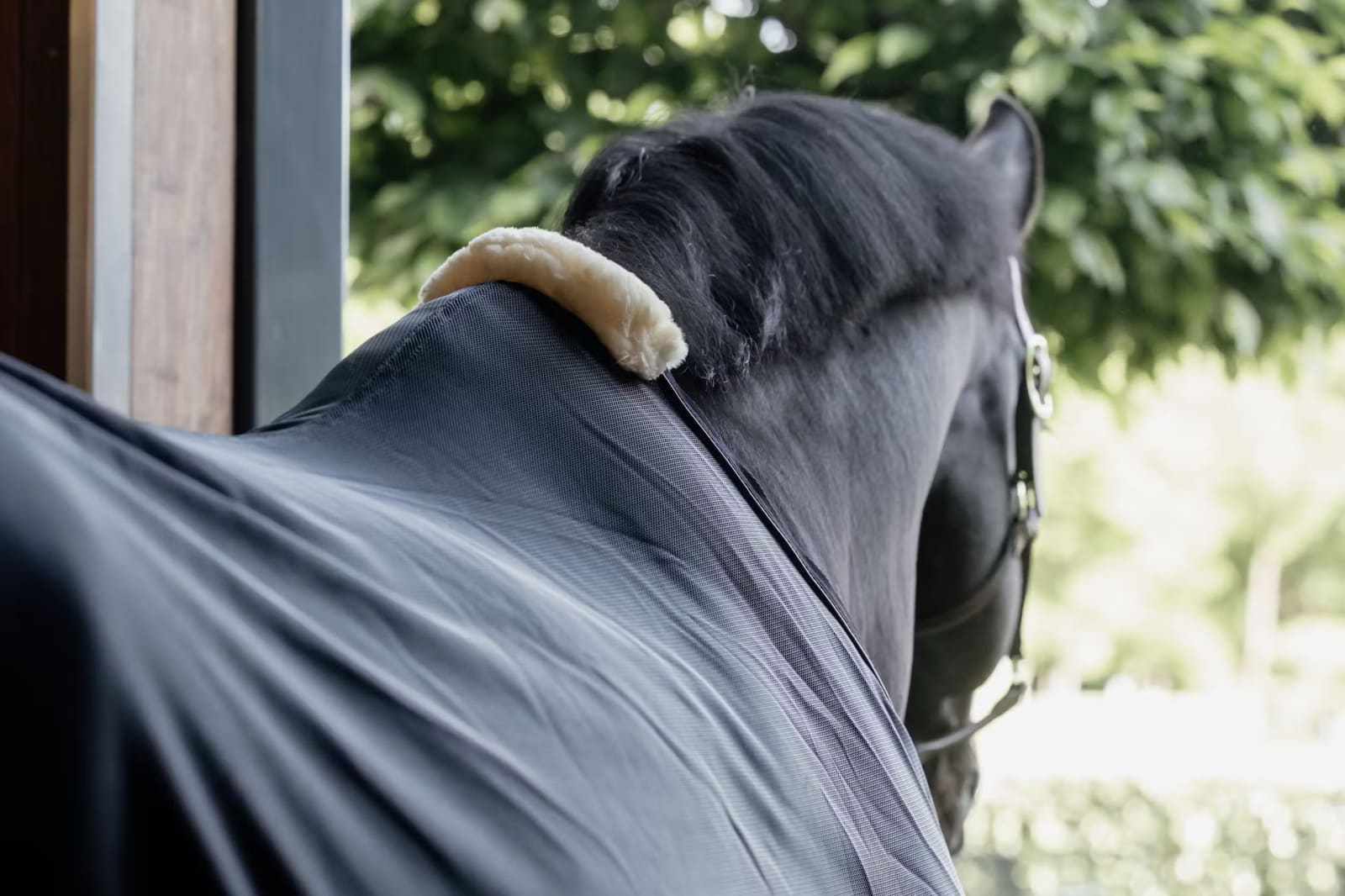 Kentucky Mesh Fly Sheet - Løwenborg - Kentucky Horsewear