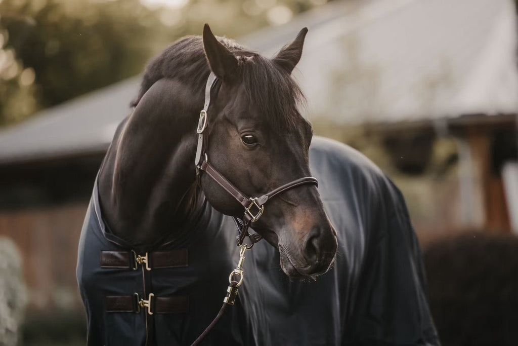 Kentucky Mesh Fly Sheet - Løwenborg - Kentucky Horsewear