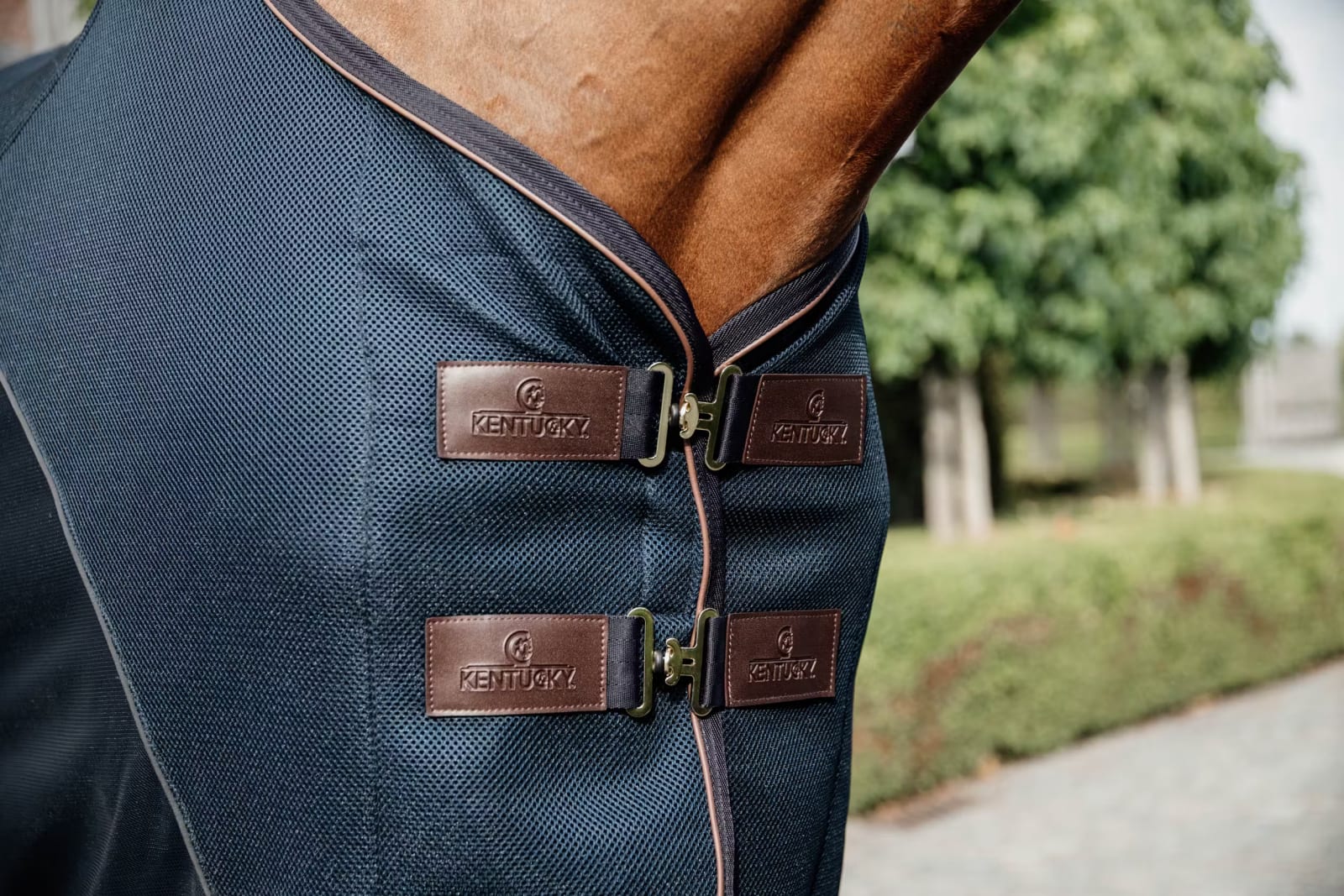 Kentucky Mesh Combo Cooler Sheet - Løwenborg - Kentucky Horsewear