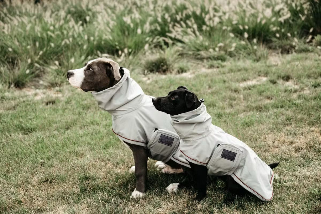 Kentucky Dog Rain Coat - Løwenborg - Kentucky Dogwear
