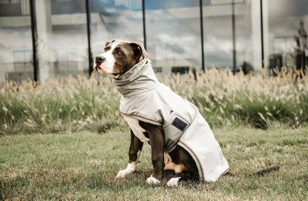Kentucky Dog Rain Coat - Løwenborg - Kentucky Dogwear
