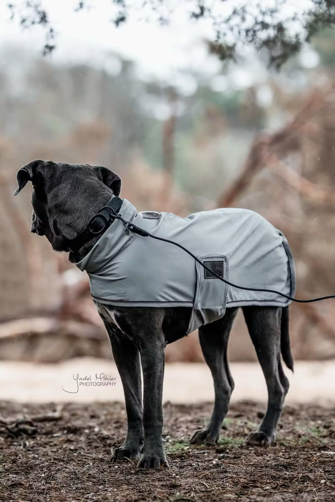 Kentucky Dog Collar Soft Rubber