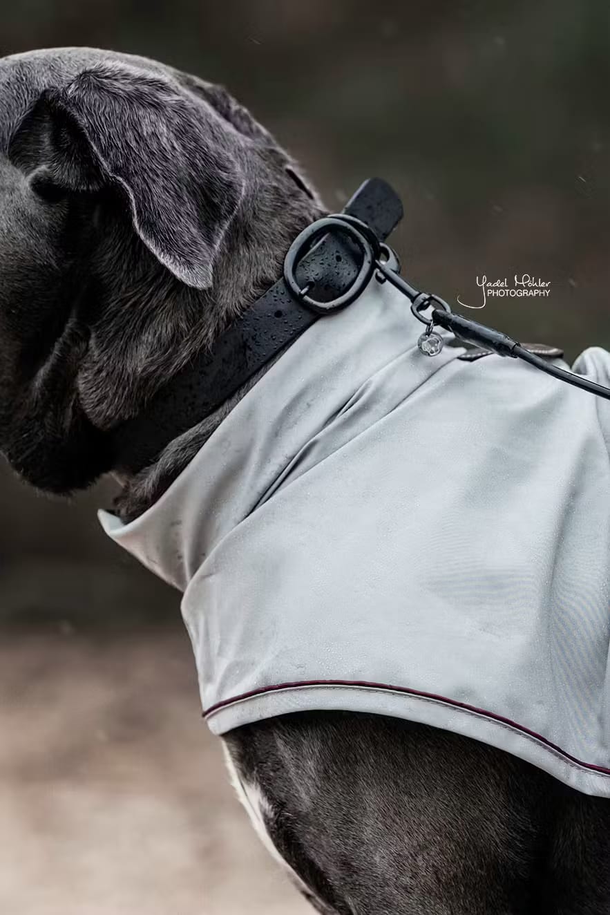 Kentucky Dog Collar Soft Rubber