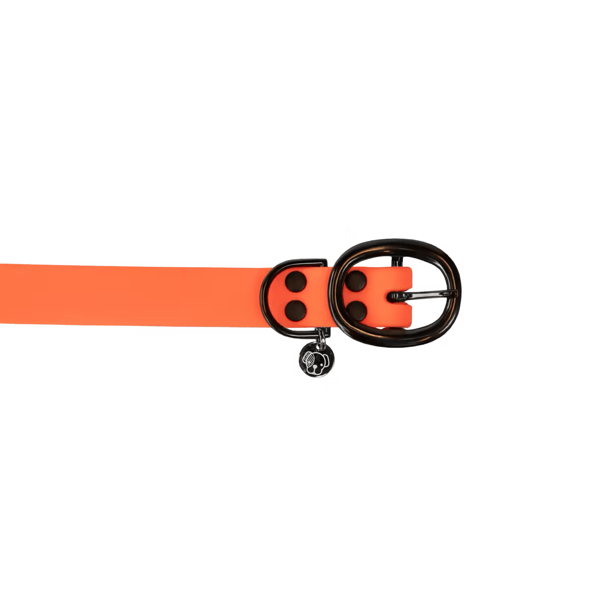 Kentucky Dog Collar Soft Rubber