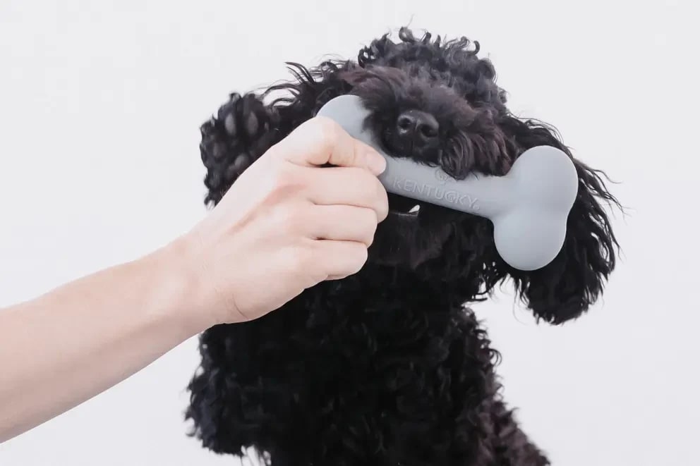 Kentucky Dog Toy Silicone Bone - Løwenborg - Kentucky Dogwear