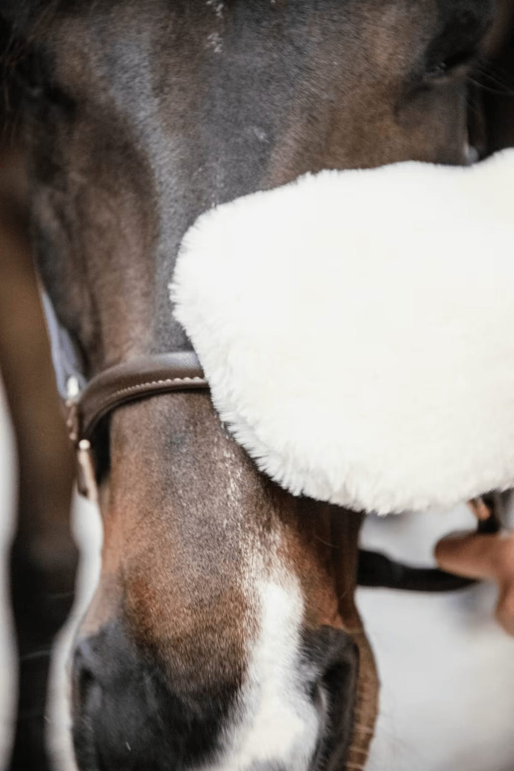 Grooming Deluxe Sheepskin Grooming Glove - Løwenborg - Grooming Deluxe