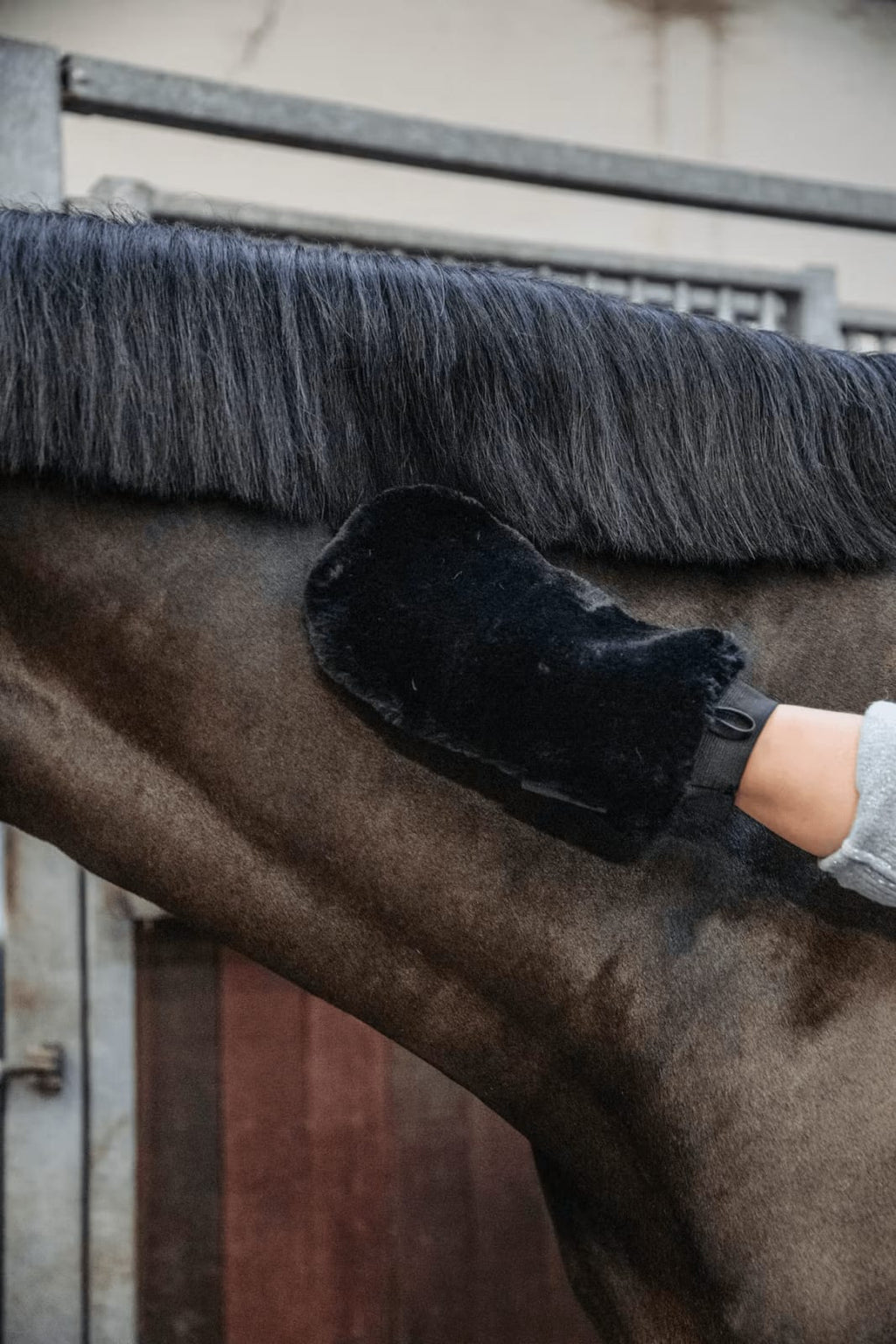 Grooming Deluxe Sheepskin Grooming Glove - Løwenborg - Grooming Deluxe