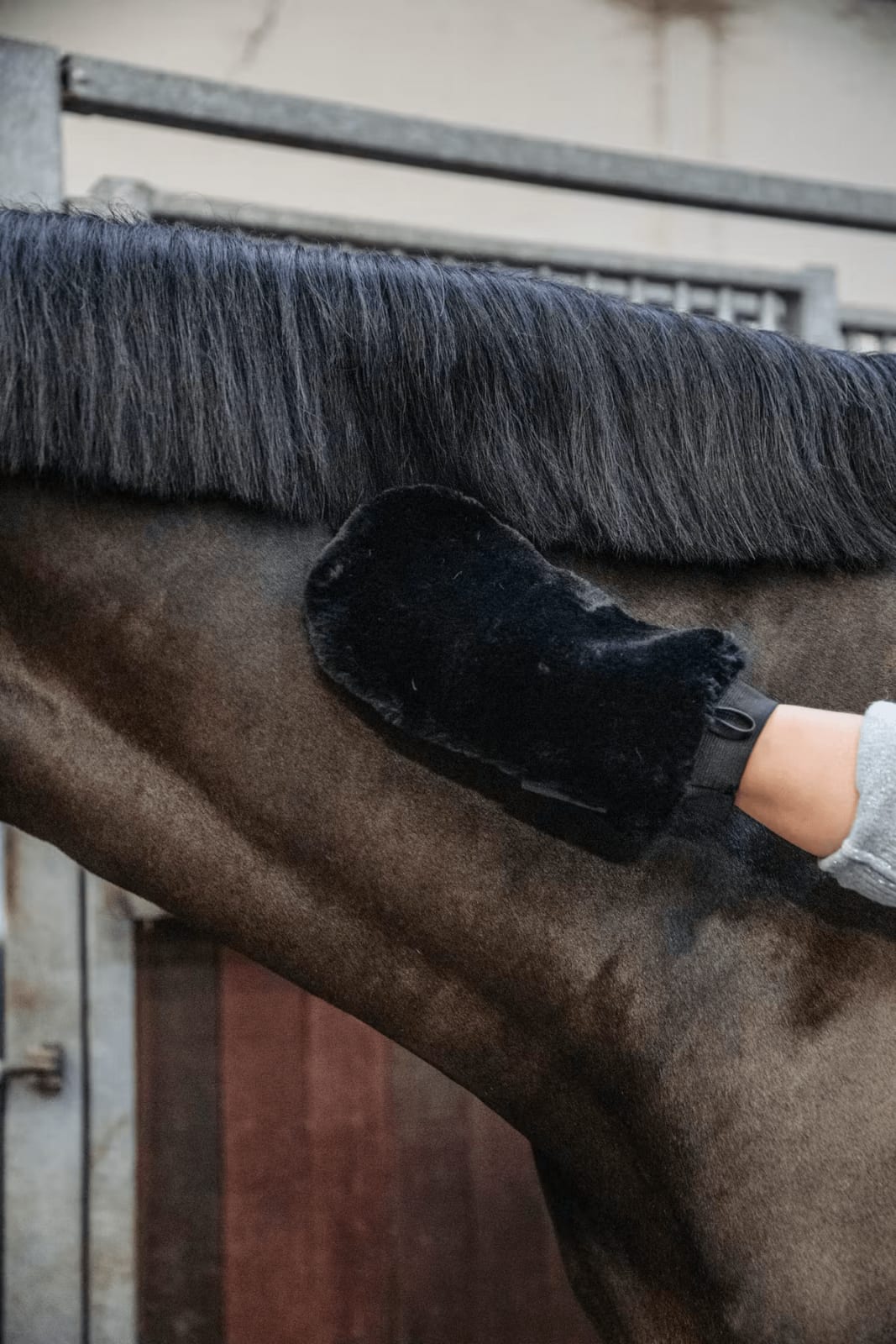 Grooming Deluxe Sheepskin Grooming Glove - Løwenborg - Grooming Deluxe