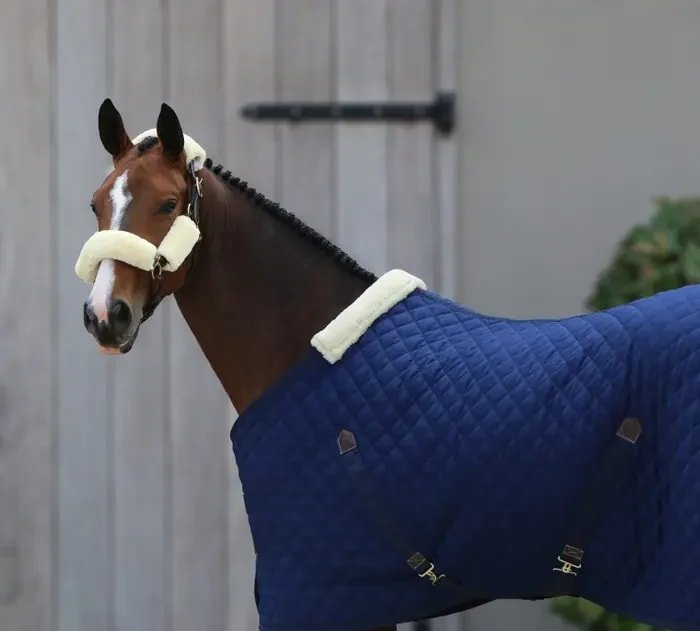 Kentucky Stable Rug - Løwenborg - Kentucky Horsewear
