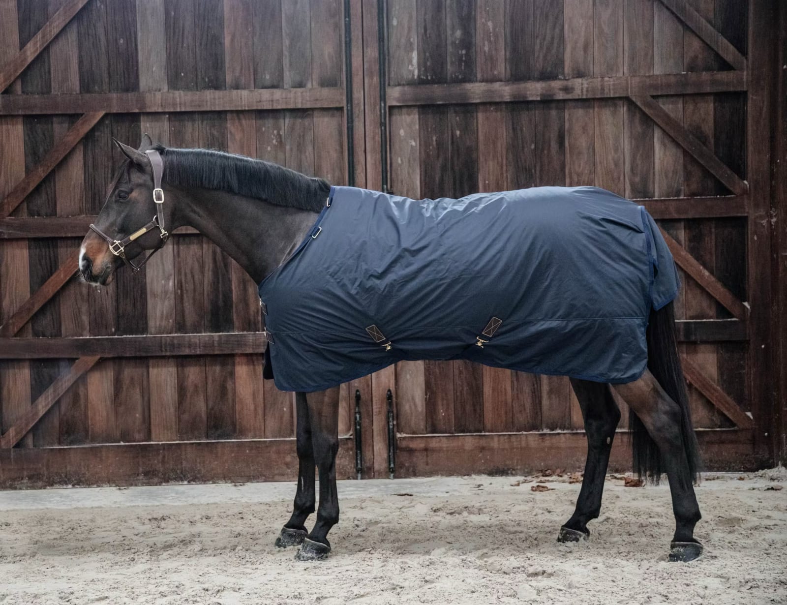 Kentucky Turnout Rug All Weather Hurricane