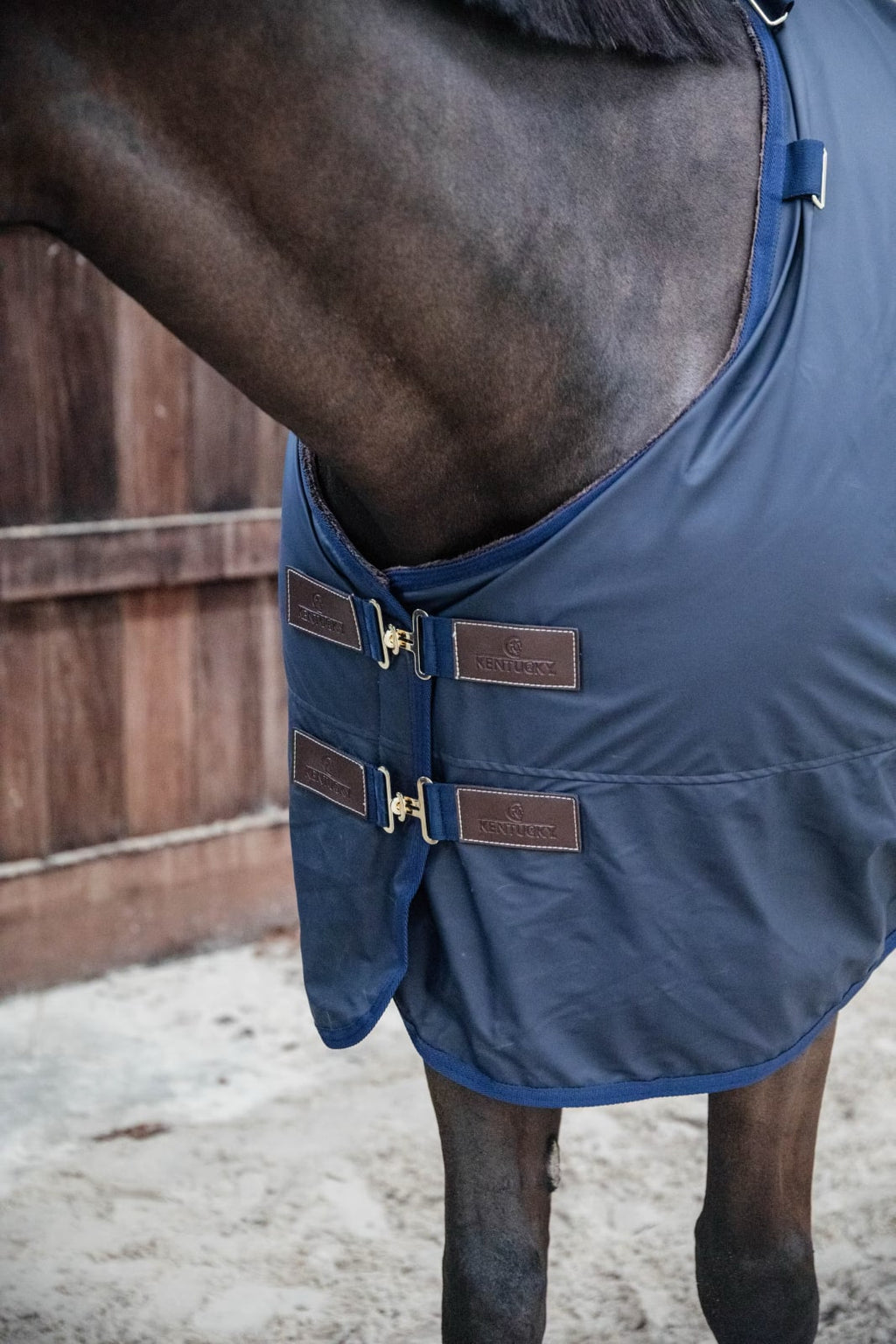 Kentucky Turnout Rug All Weather Hurricane - Løwenborg - Kentucky Horsewear