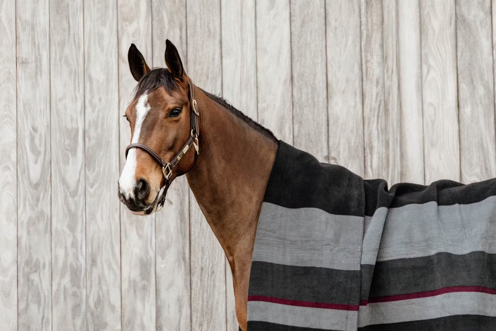 Kentucky Heavy Fleece Rug Square Stripes - Løwenborg - Kentucky Horsewear