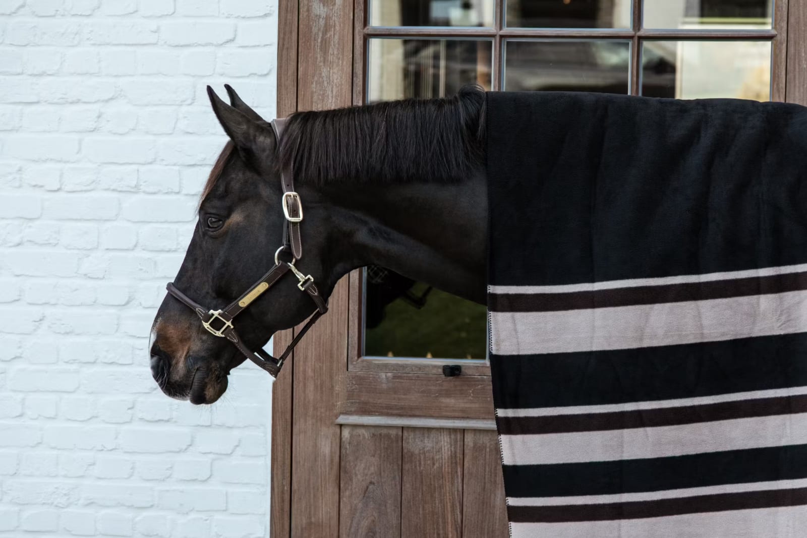 Kentucky Heavy Fleece Rug Square Stripes - Løwenborg - Kentucky Horsewear