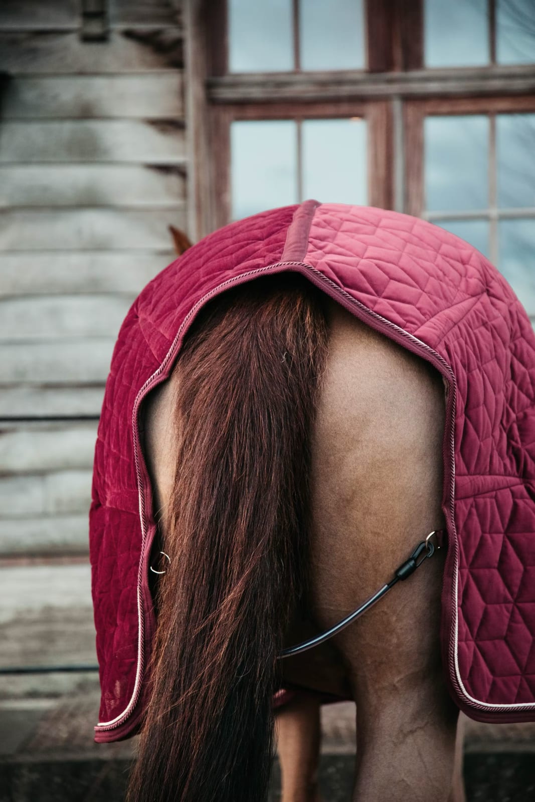 Kentucky Show Rug Velvet - Løwenborg - Kentucky Horsewear