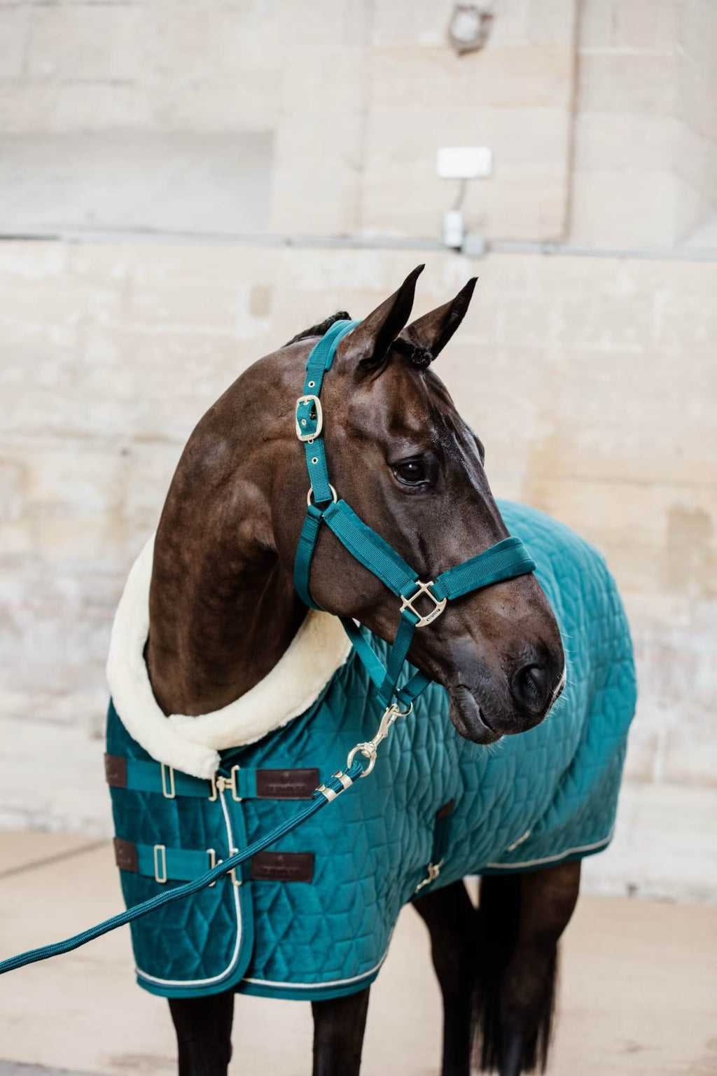 Kentucky Show Rug Velvet - Løwenborg - Kentucky Horsewear