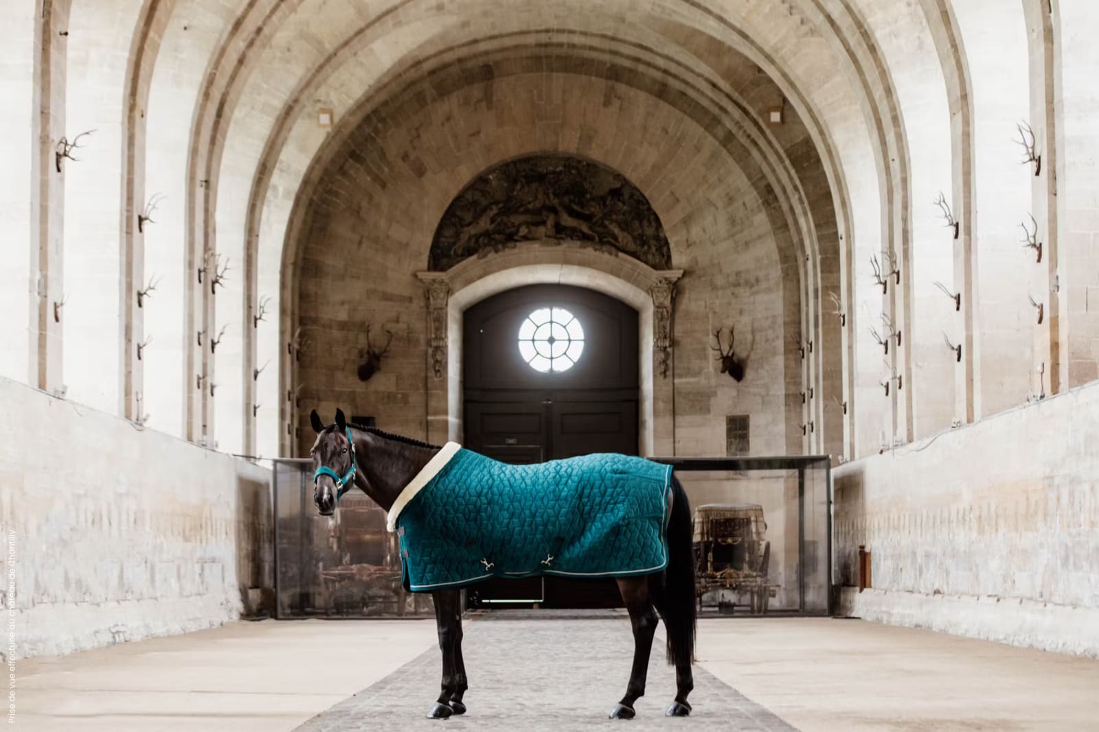 Kentucky Show Rug Velvet - Løwenborg - Kentucky Horsewear