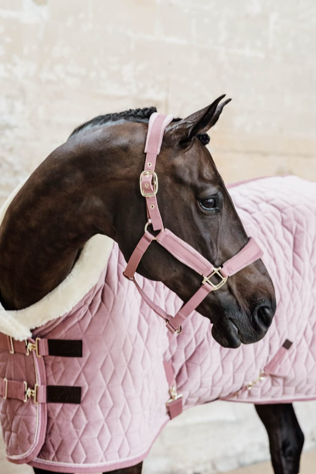Kentucky Show Rug Velvet - Løwenborg - Kentucky Horsewear