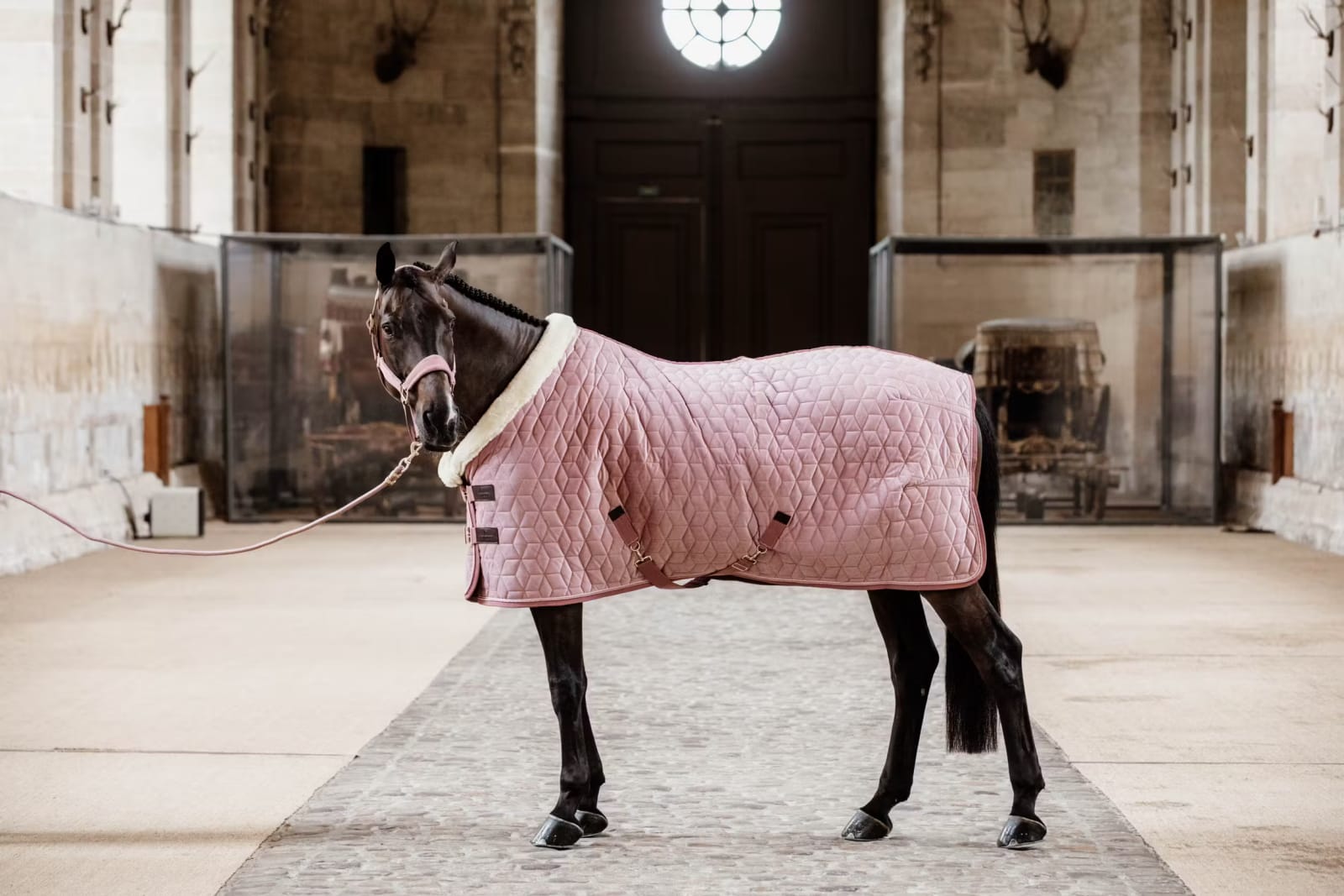 Kentucky Show Rug Velvet - Løwenborg - Kentucky Horsewear