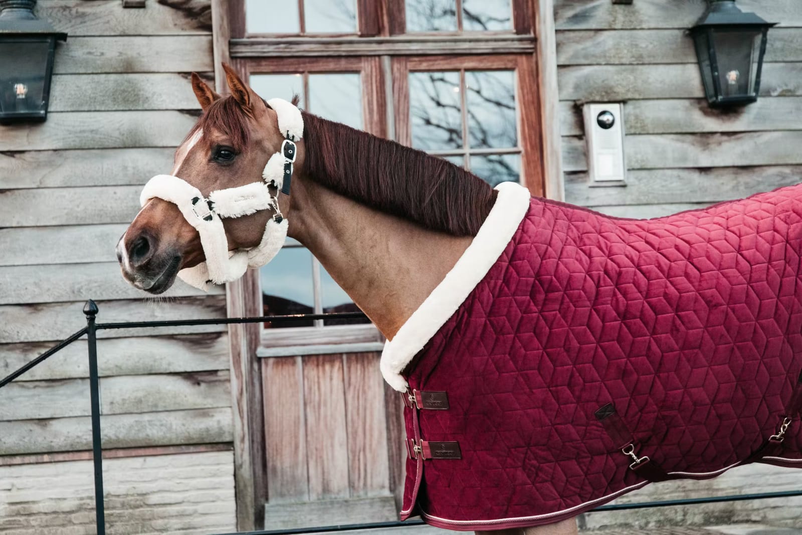 Kentucky Show Rug Velvet - Løwenborg - Kentucky Horsewear