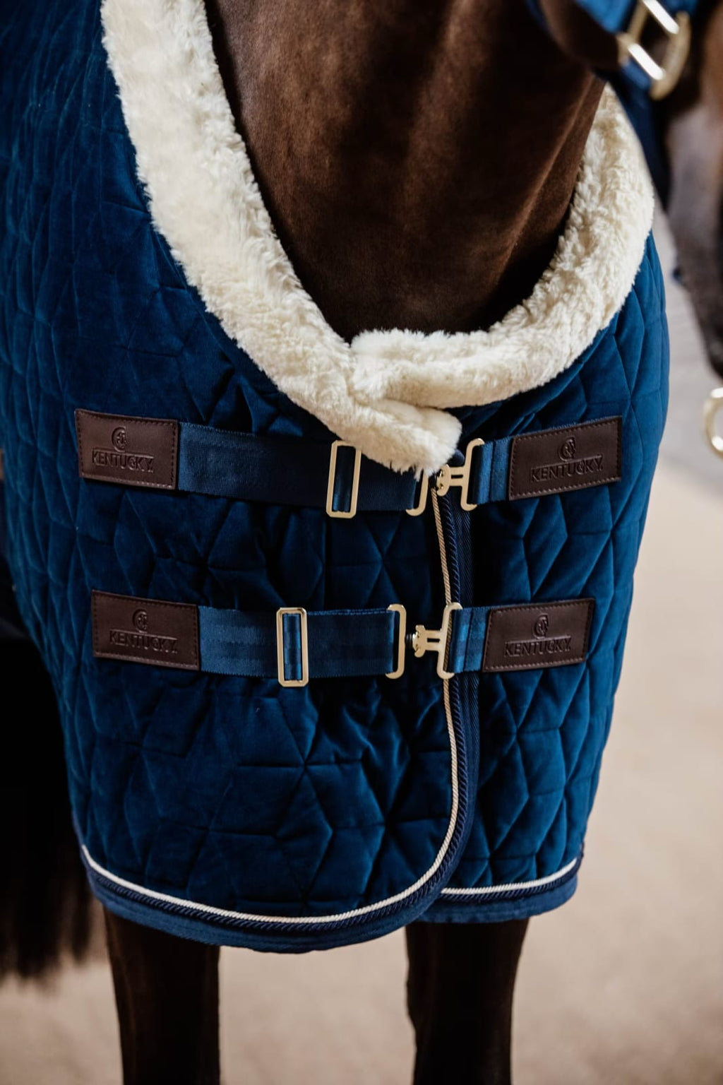 Kentucky Show Rug Velvet - Løwenborg - Kentucky Horsewear