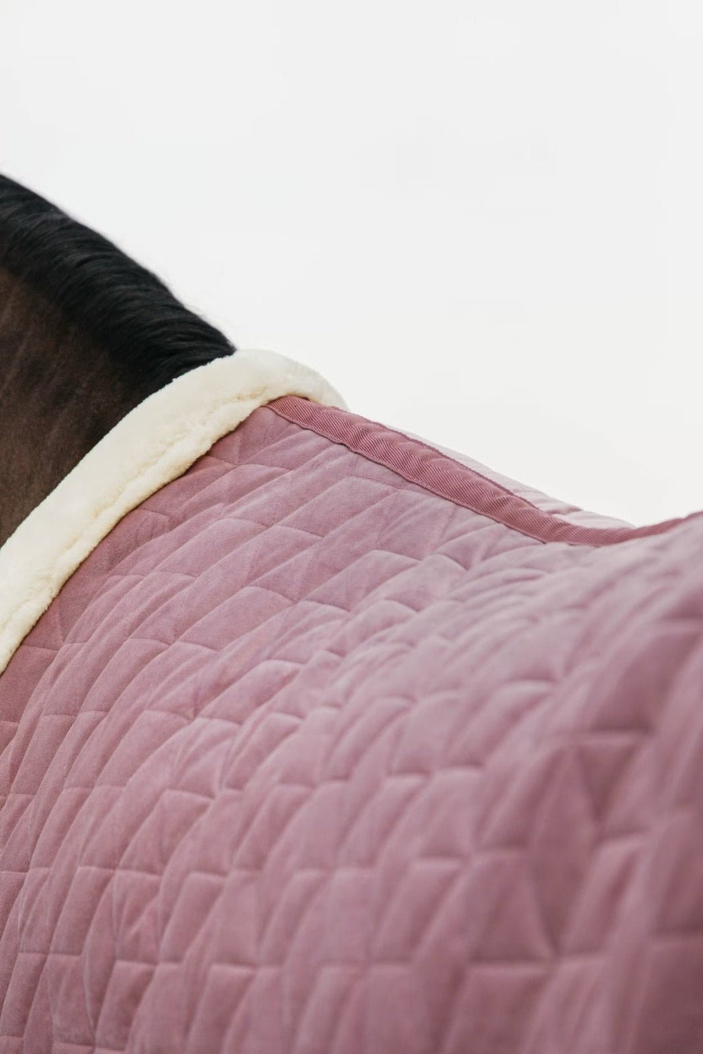 Kentucky Show Rug Velvet - Løwenborg - Kentucky Horsewear