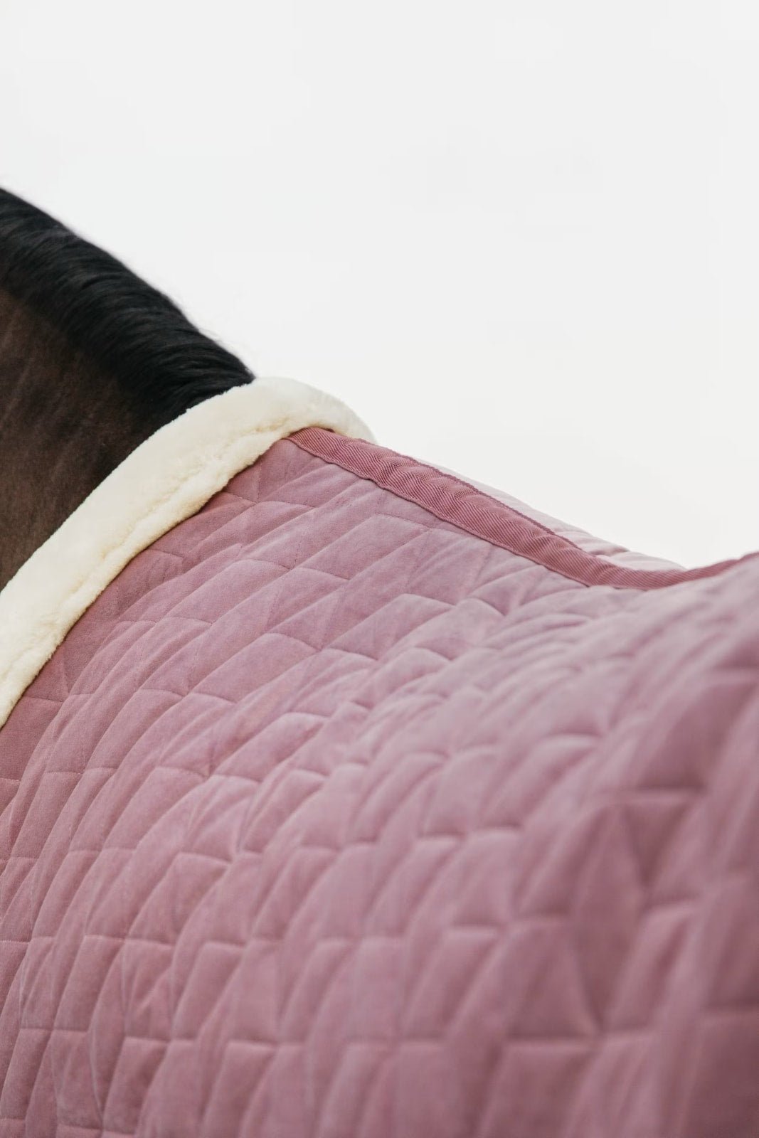 Kentucky Show Rug Velvet - Løwenborg - Kentucky Horsewear