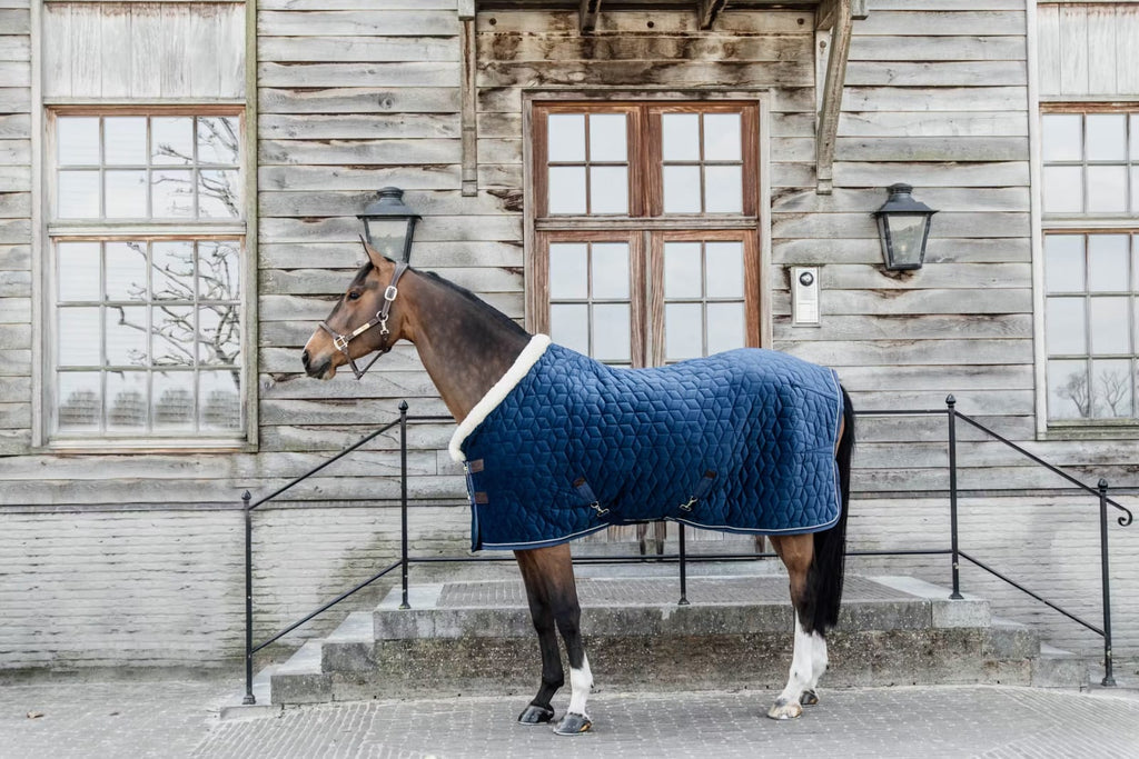 Kentucky Show Rug Velvet - Løwenborg - Kentucky Horsewear