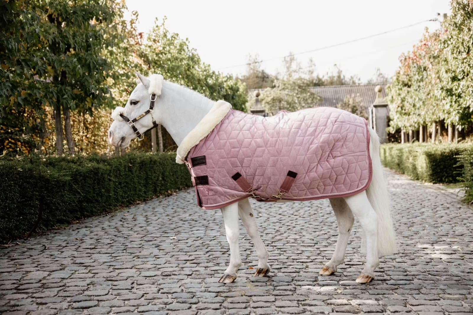 Kentucky Show Rug Velvet - Løwenborg - Kentucky Horsewear
