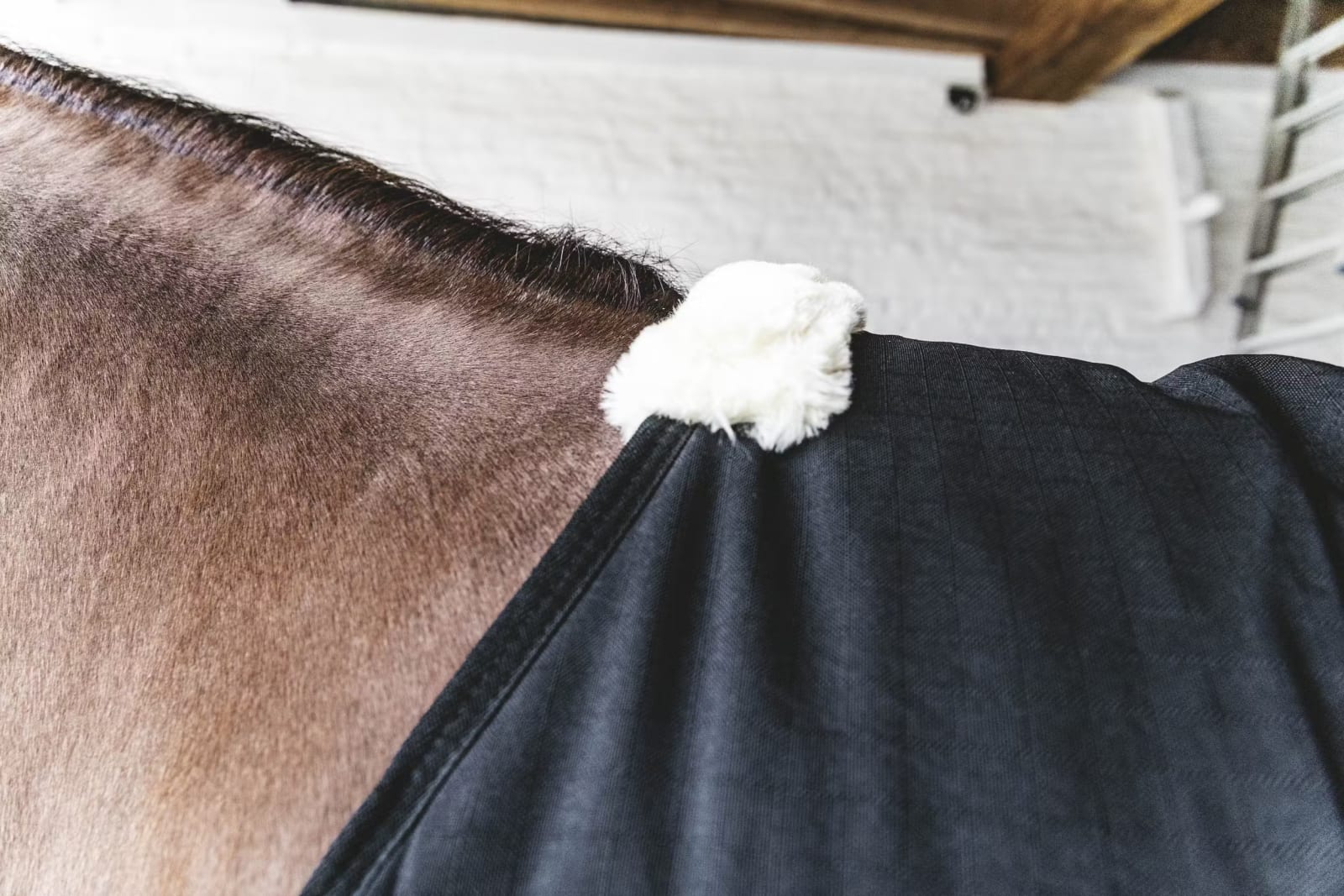 Kentucky Stable Rug Classic - Løwenborg - Kentucky Horsewear